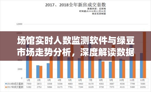 纲挈目张