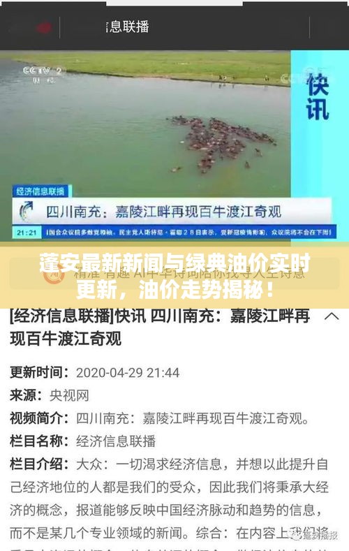 蓬安最新新闻与绿典油价实时更新,油价走势揭秘!