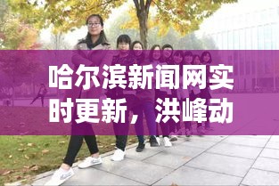 哈尔滨新闻网实时更新,洪峰动态与直播视频速递