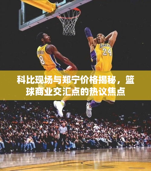 科比现场与郑宁价格揭秘，篮球商业交汇点的热议焦点