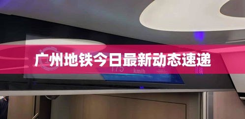 听见风就是雨