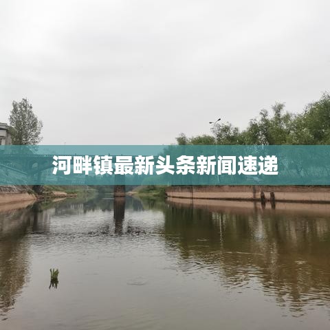 云屯鸟散