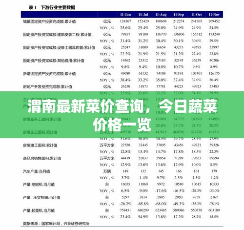 渭南最新菜价查询,今日蔬菜价格一览