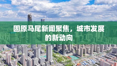 洵属可贵