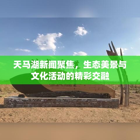 飞墙走壁