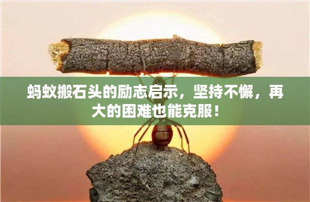 临危不惧