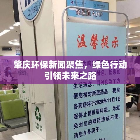 肇庆环保新闻聚焦,绿色行动引领未来之路