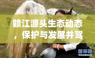 赣江源头生态动态,保护与发展并驾齐驱,前沿资讯一网打尽