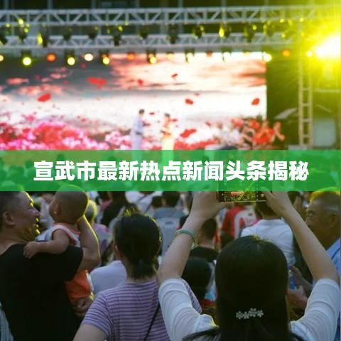 宣武市最新热点新闻头条揭秘