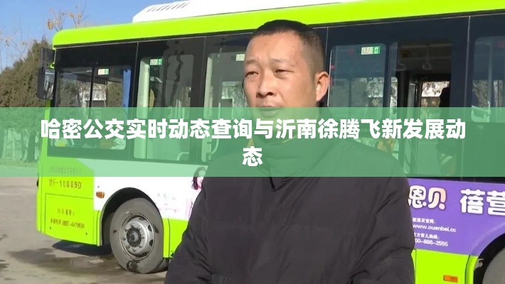 张张屈屈