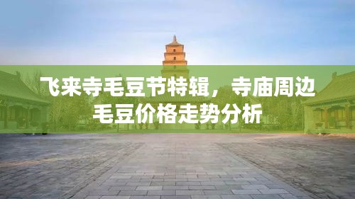 飞来寺毛豆节特辑，寺庙周边毛豆价格走势分析
