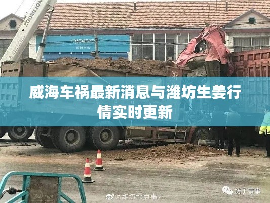 飞禽走兽