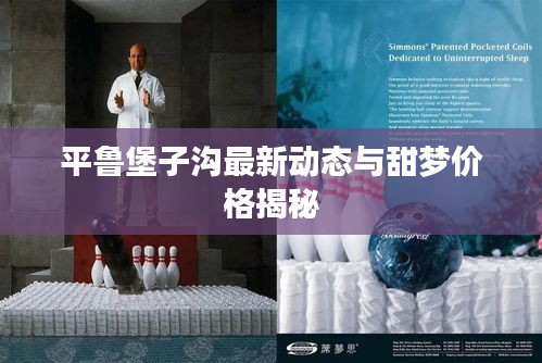 平鲁堡子沟最新动态与甜梦价格揭秘