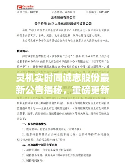 笨鸟先飞