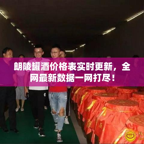 朗陵罐酒价格表实时更新，全网最新数据一网打尽！
