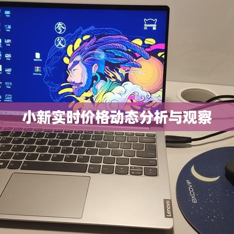 小新实时价格动态分析与观察