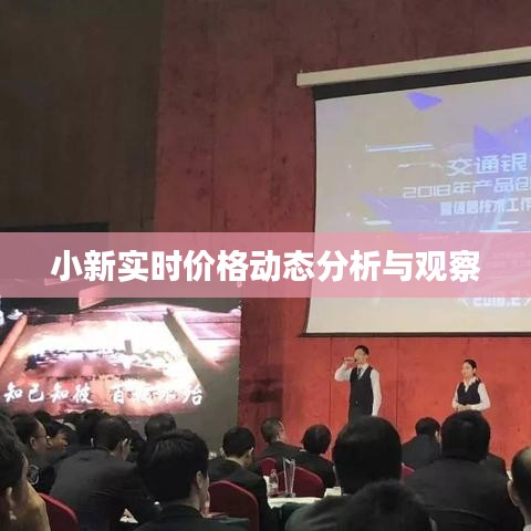 小新实时价格动态分析与观察