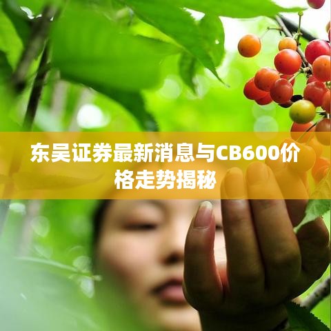温柔敦厚
