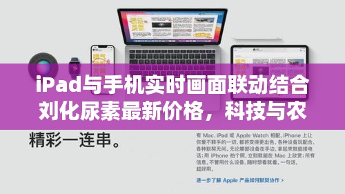 箪瓢陋室