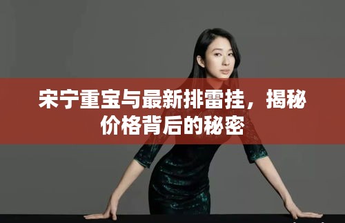 宋宁重宝与最新排雷挂,揭秘价格背后的秘密