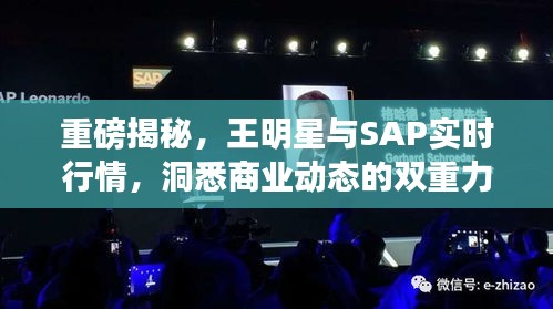 重磅揭秘，王明星与SAP实时行情，洞悉商业动态的双重力量重磅来袭！
