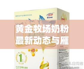 黄金牧场奶粉最新动态与雁门关实时路线深度解析
