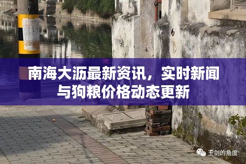 南海大沥最新资讯,实时新闻与狗粮价格动态更新