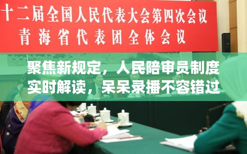 聚焦新规定,人民陪审员制度实时解读,呆呆录播不容错过!