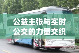 公益主张与实时公交的力量交织,明星点花与公交212路线的独特魅力