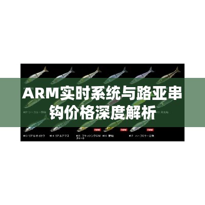 ARM实时系统与路亚串钩价格深度解析