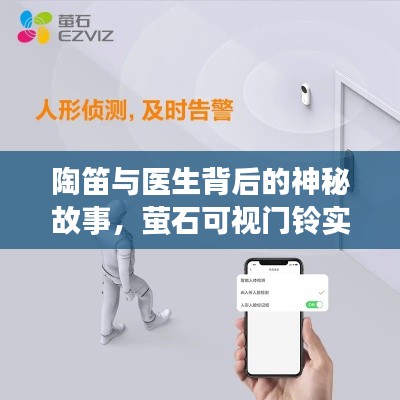飞扬跋扈