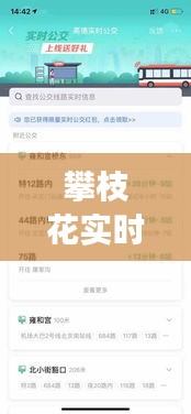 攀枝花实时公交与蚂蚁集团中签揭秘,深度解析最新信息