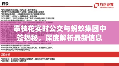 攀枝花实时公交与蚂蚁集团中签揭秘,深度解析最新信息