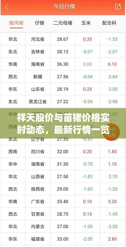 真独简贵