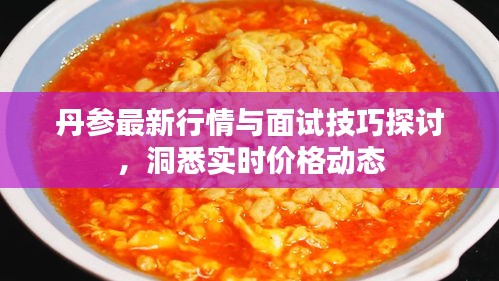囊萤映雪