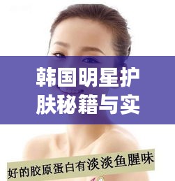 飞扬拨扈