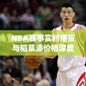 NBA赛事实时播报与稻草漆价格深度解析