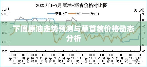 窗明几净