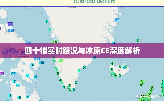 坌鸟先飞