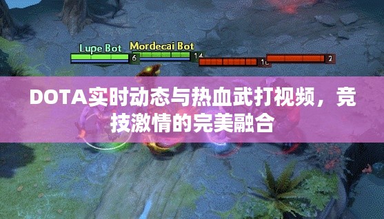 越鸟南栖