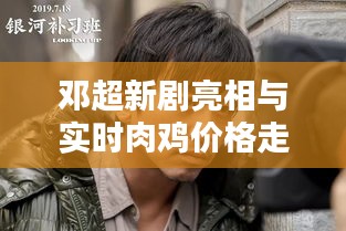 囫囵吞枣
