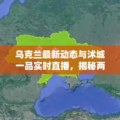 手不释卷