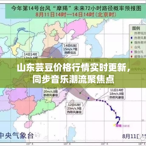 山东芸豆价格行情实时更新,同步音乐潮流聚焦点