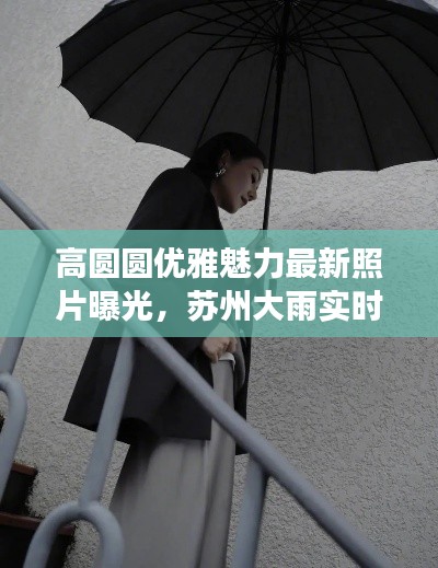 鸢飞鱼跃