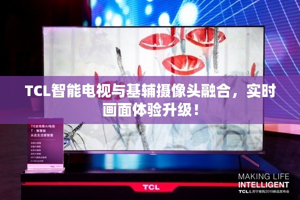 TCL智能电视与基辅摄像头融合，实时画面体验升级！