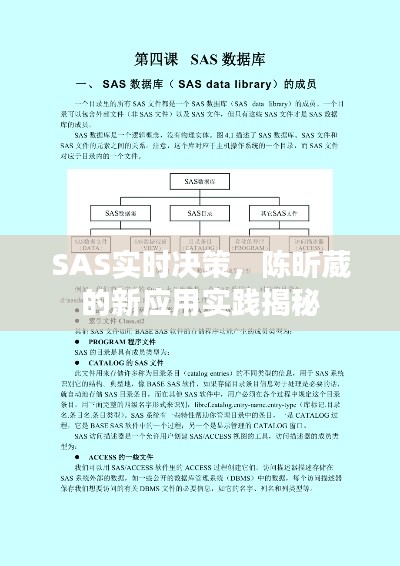 SAS实时决策，陈昕葳的新应用实践揭秘