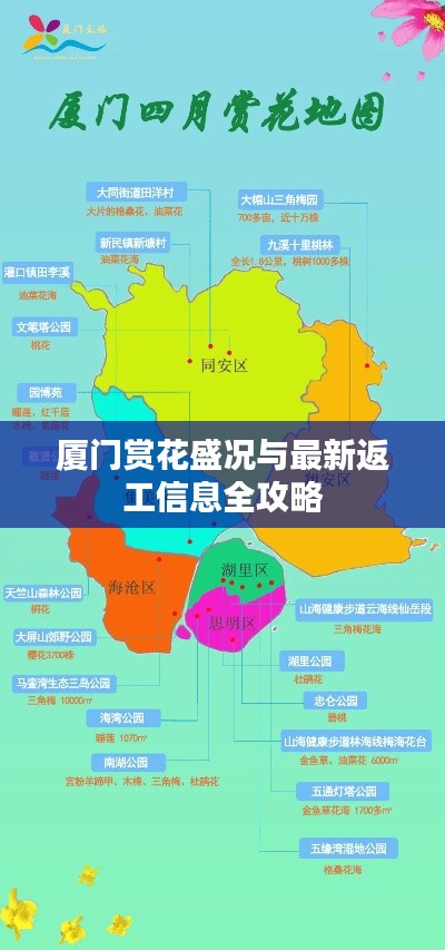 厦门赏花盛况与最新返工信息全攻略