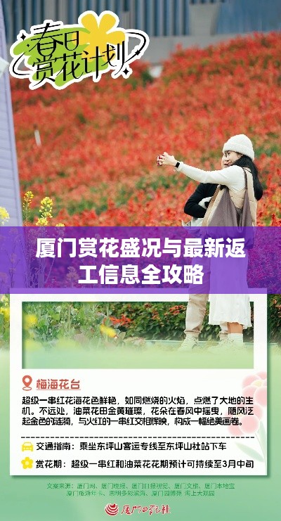 厦门赏花盛况与最新返工信息全攻略