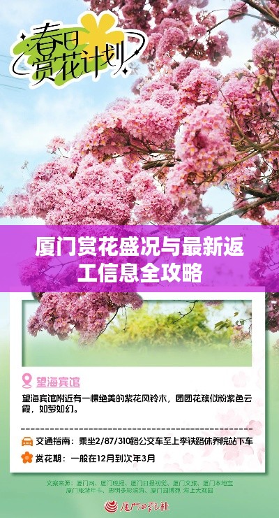 厦门赏花盛况与最新返工信息全攻略