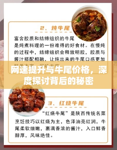 网速提升与牛尾价格,深度探讨背后的秘密